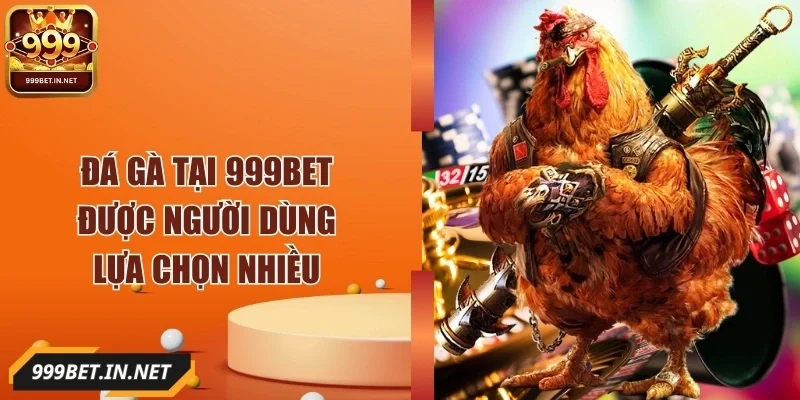 999bet-dau-truong-da-ga